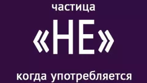частица не правила и примеры